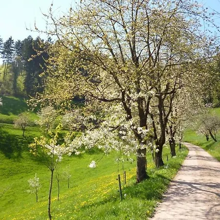 Eisenmannhof Apartment *