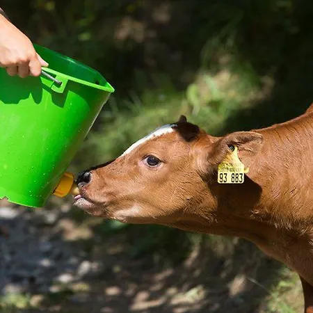 Eisenmannhof Gengenbach