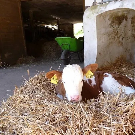 דירה Eisenmannhof *