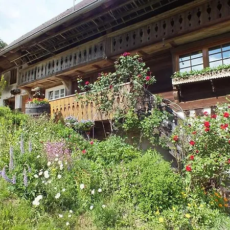 Apartment Eisenmannhof Gengenbach