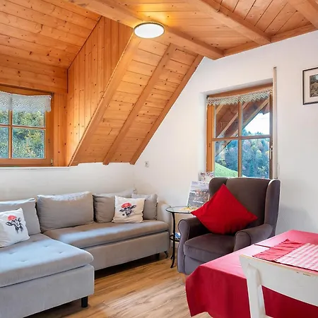 Eisenmannhof דירה *