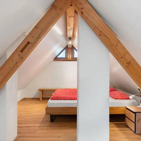 Apartment Eisenmannhof *