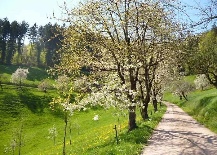 Eisenmannhof Apartamento *