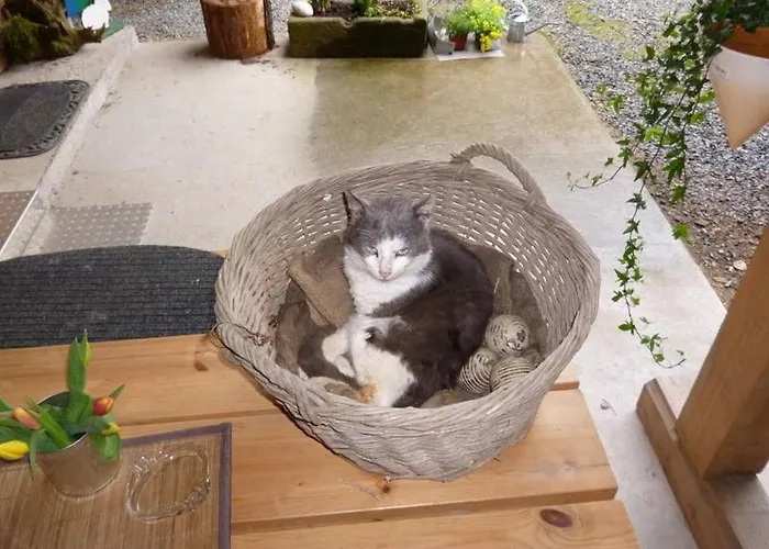 Apartamento Eisenmannhof *