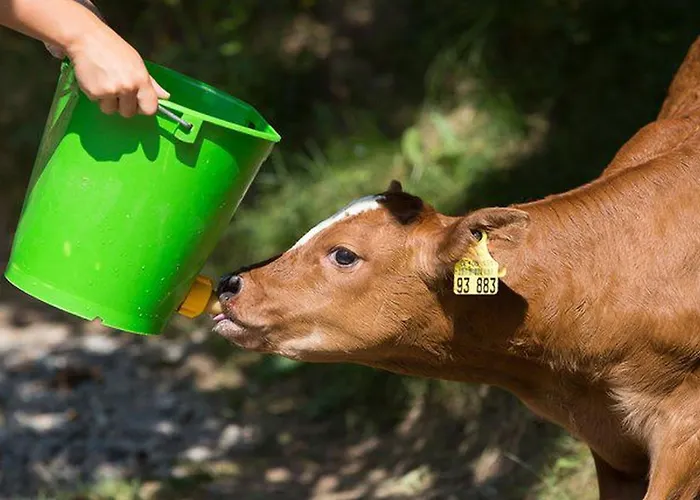 Eisenmannhof Gengenbach