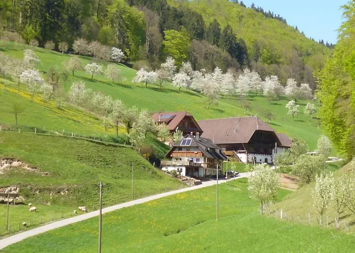 Eisenmannhof Apartamento