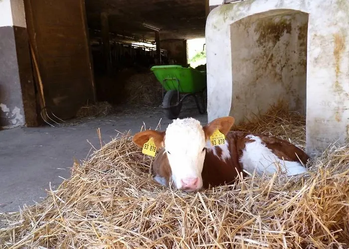 Apartamento Eisenmannhof *