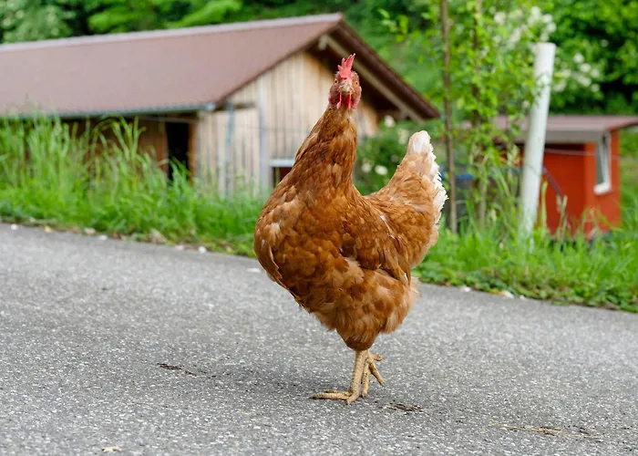 Eisenmannhof Apartamento