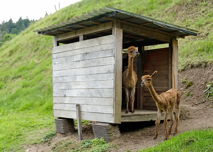 Apartamento Eisenmannhof