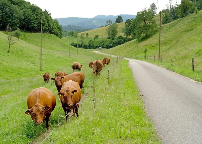 Eisenmannhof Apartamento Gengenbach
